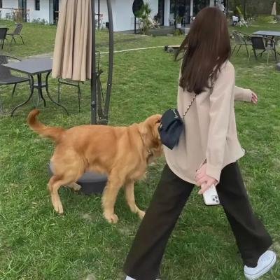 阿哈：带我走